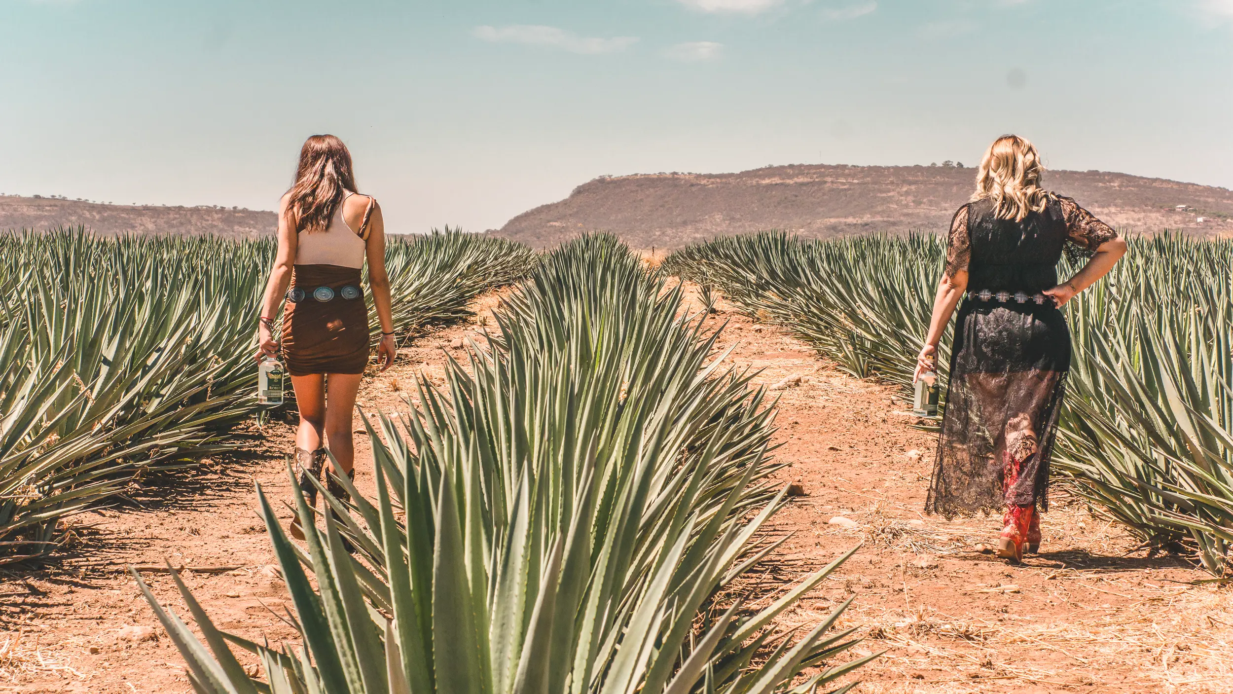 Agave fields used to craft Mezcal Leyenda